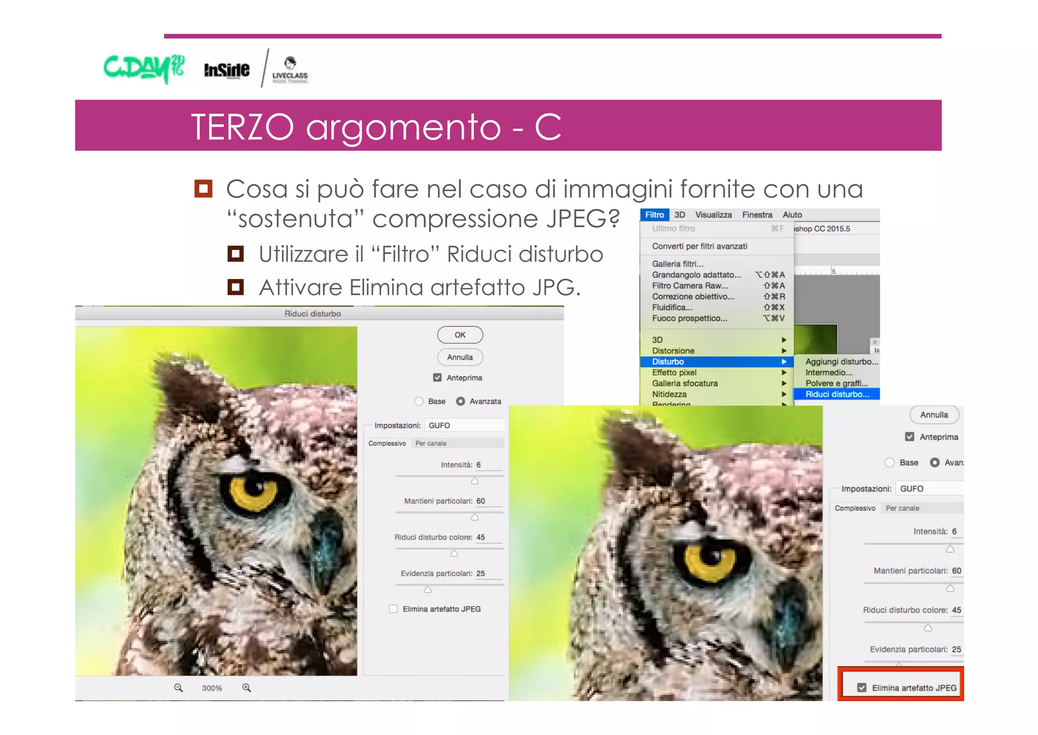 ¤  Cosa si può fare nel caso di immagini fornite con una
“sostenuta” compressione JPEG?
¤  Utilizzare il “Filtro” Riduci disturbo
¤  Attivare Elimina artefatto JPG.
TERZO argomento - C
 