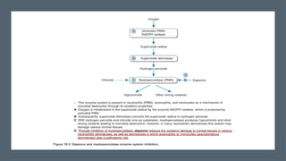 Dapsone drug , presentation ,dermatology | PPTX