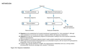 Dapsone drug , presentation ,dermatology | PPTX