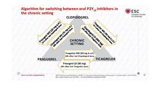 Dapt - DUAL ANTI PLATELET THERAPY