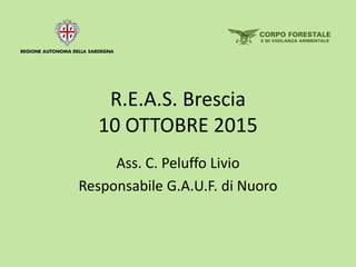 R.E.A.S. Brescia
10 OTTOBRE 2015
Ass. C. Peluffo Livio
Responsabile G.A.U.F. di Nuoro
 