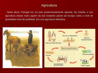 Agricultura Nesta altura, Portugal era um país predominantemente agrícola. No entanto, a sua agricultura estava muito aquém da dos restantes países da Europa, tanta a nível de quantidade como de qualidade. Era uma agricultura deficitária. 