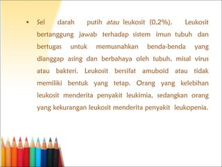 Sel darah putih  atau  leukosit (0,2%). Leukosit bertanggung jawab terhadap sistem imun tubuh dan bertugas untuk memusnahkan benda-benda yang dianggap asing dan berbahaya oleh tubuh, misal virus atau bakteri. Leukosit bersifat amuboid atau tidak memiliki bentuk yang tetap. Orang yang kelebihan leukosit menderita penyakit leukimia, sedangkan orang yang kekurangan leukosit menderita penyakit leukopenia. 