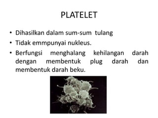 PLATELET
• Dihasilkan dalam sum-sum tulang
• Tidak emmpunyai nukleus.
• Berfungsi menghalang kehilangan darah
  dengan membentuk plug darah dan
  membentuk darah beku.
 