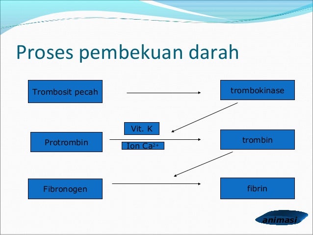 Darah