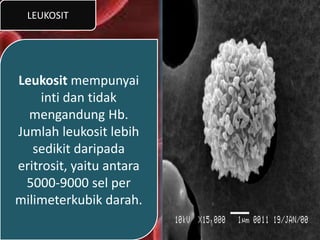 LEUKOSIT
Leukosit mempunyai
inti dan tidak
mengandung Hb.
Jumlah leukosit lebih
sedikit daripada
eritrosit, yaitu antara
5000-9000 sel per
milimeterkubik darah.
 