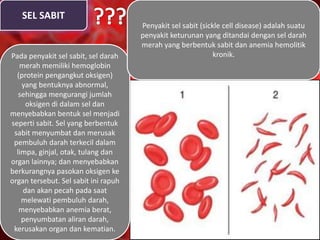 SEL SABIT
Pada penyakit sel sabit, sel darah
merah memiliki hemoglobin
(protein pengangkut oksigen)
yang bentuknya abnormal,
sehingga mengurangi jumlah
oksigen di dalam sel dan
menyebabkan bentuk sel menjadi
seperti sabit. Sel yang berbentuk
sabit menyumbat dan merusak
pembuluh darah terkecil dalam
limpa, ginjal, otak, tulang dan
organ lainnya; dan menyebabkan
berkurangnya pasokan oksigen ke
organ tersebut. Sel sabit ini rapuh
dan akan pecah pada saat
melewati pembuluh darah,
menyebabkan anemia berat,
penyumbatan aliran darah,
kerusakan organ dan kematian.
Penyakit sel sabit (sickle cell disease) adalah suatu
penyakit keturunan yang ditandai dengan sel darah
merah yang berbentuk sabit dan anemia hemolitik
kronik.
 