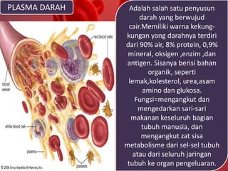 PLASMA DARAH Adalah salah satu penyusun
darah yang berwujud
cair.Memiliki warna kekung-
kungan yang darahnya terdiri
dari 90% air, 8% protein, 0,9%
mineral, oksigen ,enzim ,dan
antigen. Sisanya berisi bahan
organik, seperti
lemak,kolesterol, urea,asam
amino dan glukosa.
Fungsi=mengangkut dan
mengedarkan sari-sari
makanan keseluruh bagian
tubuh manusia, dan
mengangkut zat sisa
metabolisme dari sel-sel tubuh
atau dari seluruh jaringan
tubuh ke organ pengeluaran.
 