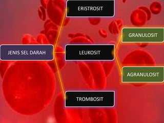 JENIS SEL DARAH
ERISTROSIT
LEUKOSIT
TROMBOSIT
GRANULOSIT
AGRANULOSIT
 