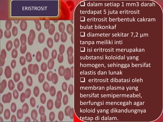 ERISTROSIT
 dalam setiap 1 mm3 darah
terdapat 5 juta eritrosit
 eritrosit berbentuk cakram
bulat bikonkaf
 diameter sekitar 7,2 µm
tanpa meiliki inti
 isi eritrosit merupakan
substansi koloidal yang
homogen, sehingga bersifat
elastis dan lunak
 eritrosit dibatasi oleh
membran plasma yang
bersifat semipermeabel,
berfungsi mencegah agar
koloid yang dikandungnya
tetap di dalam.
 