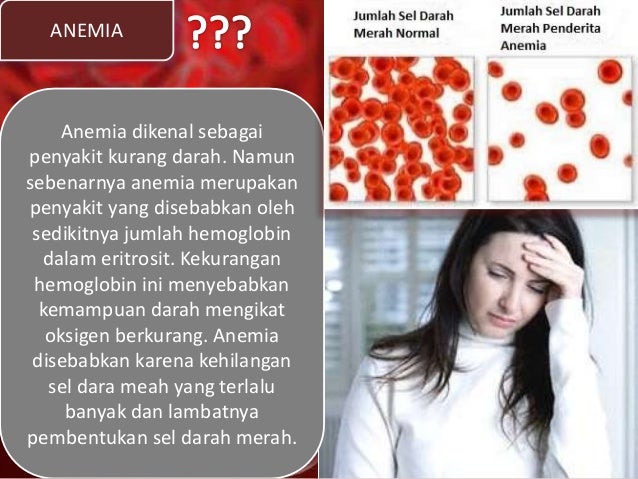 Jaringan Darah (Blood Tissue)