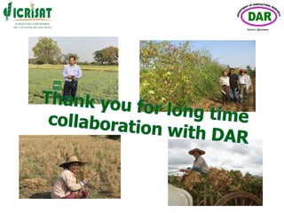 ICRISAT- MYANMAR Partnership by Department of Agricultural Research- Myanmar