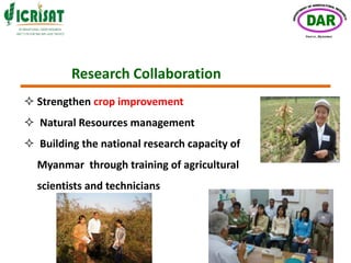 ICRISAT- MYANMAR Partnership by Department of Agricultural Research- Myanmar