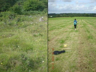 Threats to pollination Major threats include:  -  habitat fragmentation - changes in land use - agriculture and grazing - effects of herbicide and pesticide - introduction of non-native species 1:5000 1:5000 