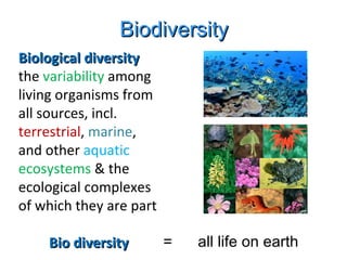 Biodiversity =  all life on earth Biological diversity  the  variability  among living organisms from all sources, incl.  terrestrial ,  marine , and other  aquatic   ecosystems  & the ecological complexes of which they are part Bio diversity 