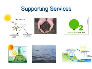 Supporting Services 