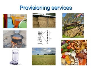 Provisioning services www.irishdigest.com www.coillte.ie www.irishdigest.com www.wastercooler.ie 
