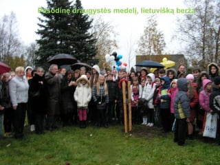 Pasodinę draugystės medelį, lietuvišką beržą 