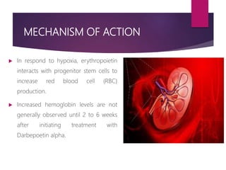 MECHANISM OF ACTION
 In respond to hypoxia, erythropoietin
interacts with progenitor stem cells to
increase red blood cell (RBC)
production.
 Increased hemoglobin levels are not
generally observed until 2 to 6 weeks
after initiating treatment with
Darbepoetin alpha.
 
