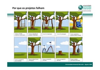 Por que os projetos falham




                             Universidade Anhembi Morumbi – Agosto 2009
 