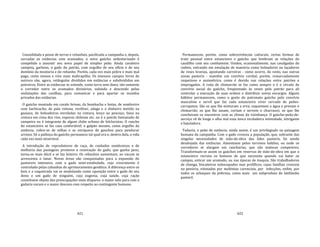 421
Consolidada a posse de terras e rebanhos, pacificada a campanha e, depois,
cercadas as estâncias com aramados, o novo gaúcho sedentarizado é
compelido a assumir seu novo papel de simples peão. Ainda cavaleiro
campeia, garboso, o gado do patrão, com orgulho de seu ofício e do seu
domínio da montaria e do rebanho. Porém, cada vez mais pobre e mais mal
pago, come menos e vive mais maltrapilho. Os imensos campos livres de
outrora são, agora, retângulos divididos em estâncias e subdivididos em
potreiros. Entre as estâncias se estende, como terra sem dono, tão‐somente
o corredor entre os aramados divisórios, subindo e descendo pelas
ondulações das coxilhas, para comunicar e para apartar os mundos
privados das estâncias.
O gaúcho montado em cavalo brioso, da bombacha e botas, de sombreiro
com barbicacho, de pala vistosa, revólver, adaga e o dinheiro metido na
guaiaca, de boleadeiras enroladas na cintura, lenço ao pescoço, faixa na
cintura em cima dos rins, esporas chilenas etc. ou é o patrão fantasiado de
campeiro ou é integrante de algum clube urbano de folcloristas. O rancho
do estancieiro se faz casa confortável; o galpão mesmo, como orgulho da
estância, cobre‐se de telhas e se enriquece de ganchos para pendurar
arreios. Só a palhoça do gaúcho permanece tal qual era e, dentro dela, a vida
cada vez mais miserável.
A introdução de reprodutores de raça, de cuidados zootécnicos e de
melhoria das pastagens promove a renovação do gado, que ganha peso,
torna‐se mais dócil e se faz leiteiro. Os rebanhos aumentam; ao vacum se
acrescenta o lanar. Novas áreas são conquistadas para a expansão do
pastoreio intensivo, com o gado semi‐estabulado, cujo crescimento é
controlado pelas cabanhas de aprimoramento genético. A diferença entre os
bois e a vaqueirada vai se modulando como oposição entre o gado do seu
dono e um gado de ninguém, cuja eugenia, cuja saúde, cuja ração
constituem objeto das preocupações mais díspares: o maior zelo para com a
gadaria vacum e o maior descaso com respeito ao contingente humano.
422
Permanecem, porém, como sobrevivências culturais, certas formas de
trato pessoal entre estancieiro e gaúcho que lembram as relações do
caudilho com seu combatente. Unidos, ocasionalmente, nas cavalgadas do
rodeio, entrando em emulação de maestria como boleadores ou laçadores
de reses bravias, apostando carreiras ‐ como ocorre, de resto, nas outras
zonas pastoris ‐ mantêm um convívio cordial, porém, remarcadamente
respeitoso e assimétrico, como é devido nas relações entre patrões e
empregados. A roda de chimarrão se faz como sempre e é o círculo de
convívio social do gaúcho, freqüentado às vezes pelo patrão para ali
controlar a execução de suas ordens e distribuir novos encargos. Alguns
hábitos permanecem, como o gosto do patronato gaúcho pelo convívio
masculino e servil que faz cada estancieiro viver cercado de peões‐
carrapatos. São os que lhe misturam a erva, esquentam a água e provam o
chimarrão; os que lhe assam, cortam e servem o churrasco; os que lhe
conchavam os encontros com as chinas da vizinhança. O gaúcho‐peão‐de‐
serviço vê de longe e olha mal essa única verdadeira intimidade, intrigante
e bajuladora.
Todavia, o peão de estância, ainda assim, é um privilegiado na paisagem
humana da campanha. Com o gado cresceu a população, que, sobrante das
singelas necessidades de mão‐de‐obra das lides pastoris, foi sendo
desalojada das estâncias. Amontoase pelos terrenos baldios, ou onde os
corredores se alargam em rancharias, que são malocas campestres.
Transformam‐se assim os gaúchos em reservas de mão‐de‐obra em que o
estancieiro recruta os homens de que necessita quando vai bater os
campos, esticar um aramado, ou nas épocas de tosquia. São trabalhadores
de changa, biscateiros subocupados mas prolíficos, cujas famílias crescem
na penúria, vitimadas por moléstias carenciais, por infecções, enfim, por
todos os achaques da pobreza, como mais um subproduto do latifúndio
pastoril.
 