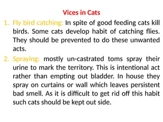 Cat Catching Insect Comprehensive Guide to Cat Breeds, Care, Feeding, and Management | PPTX