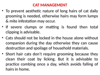 Comprehensive Guide to Cat Breeds, Care, Feeding, and Management | PPTX