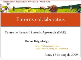Entorns col.laboratius Reus, 17 de juny de 2009 http://elcaparazon.net http://www.dreig.eu/caparazon Dolors Reig (dreig),  Centre de formació i estudis Agrorurals (DAR) 