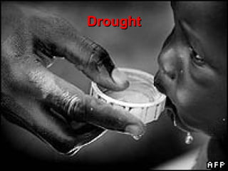 Drought 