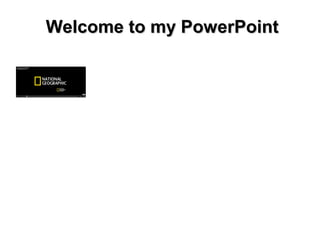 Welcome to my PowerPoint
 