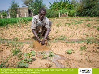 Mohammed is a farmer in Darfur. He has received help with irrigation from
CAFOD’s partner Norwegian Church Aid.
 