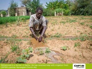 Mohammed is a farmer in Darfur. He has received help with irrigation from
CAFODs partner Norwegian Church Aid.
 