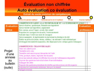 Projet d’une annexe au bulletin (suite)‏ Évaluation non chiffrée Auto évaluation co évaluation Extrait du socle commun de compétences Évaluation élève Évaluation professeurs 