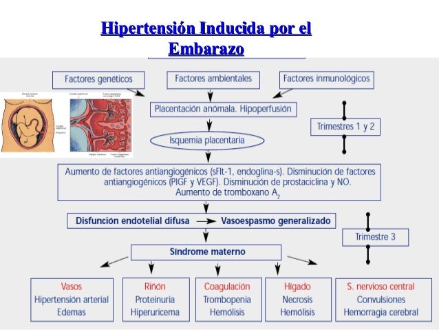 crisis de hipertensión arterial hoja cheet