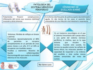 PATOLOGIA DEL 
SISTEMA NERVIOSO 
PERIFERICO 
SÍNDROME DE 
GUILLAIN-BARRÉ 
Síntomas: Pérdida de reflejos en brazos 
y piernas 
Pronóstico: Aproximadamente el 80% 
de pacientes se recupera 
completamente en un período de unos 
pocos meses a un año. El 5 al 10% se 
recuperan con invalidez severa 
Pruebas y exámenes: Muestra de 
líquido cefalorraquídeo 
Electromiografía que evalúa la actividad 
eléctrica en los músculos 
Es la forma más frecuente de polineuropatía desmielinizante 
aguda. En dos tercios de los casos el paciente tiene 
antecedente de una infección viral intestinal o respiratoria 
Es un trastorno neurológico en el que 
el sistema inmunitario del cuerpo ataca 
a una parte del sistema nervioso 
periférico, la mielina, que es la capa 
aislante que recubre los 
nervios. Cuando esto sucede, los 
nervios no pueden enviar las señales de 
forma eficaz; los músculos pierden su 
capacidad de responder a las órdenes 
del encéfalo y éste recibe menos 
señales sensoriales del resto del 
cuerpo. 
Tratamiento: Prevenir complicaciones 
inflamación del nervio que ocasiona debilidad 
muscular y otros síntomas 
No tiene cura 
