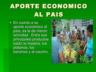 APORTE ECONOMICO AL PAIS En cuanto a su aporte económico al país, es la de menor actividad.  Entre sus principales productos están la madera, los plátanos, los bananos y el caucho.  