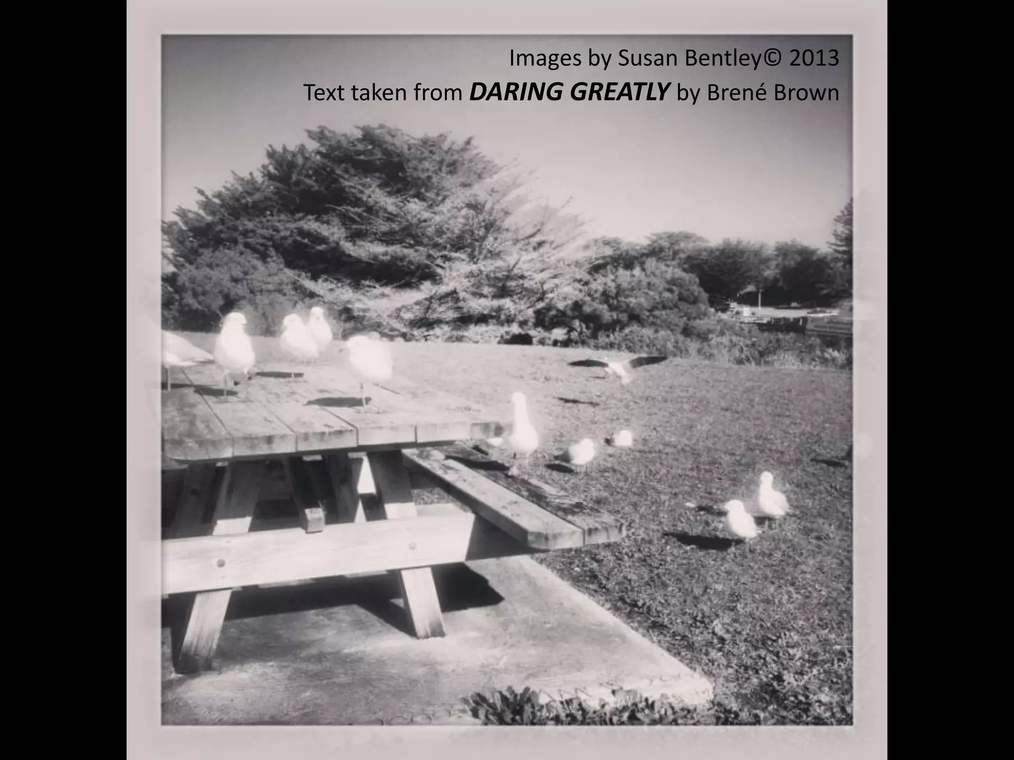 Images by Susan Bentley© 2013
Text taken from DARING GREATLY by Brené Brown
 