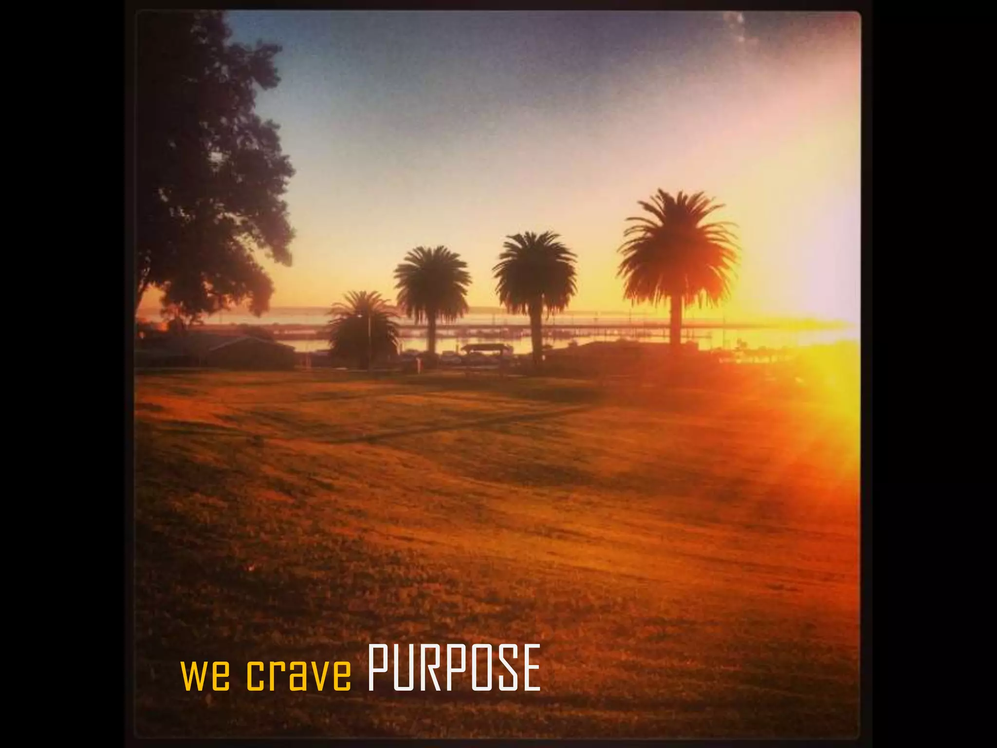 we crave PURPOSE
 
