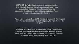 HÍDROGENO: además de ser uno de los componentes
de la molécula de agua, indispensable para la vida y muy
abundante en los seres vivos, forma parte de los
esqueletos de carbono de las moléculas orgánicas. Puede
enlazarse con cualquier bioelemento

Ácido oleico : una cadena de 18 átomos de carbono (bolas negras);
las bolas blancas son átomos de hidrógeno y las rojas àtomos de
oxígeno

Oxigeno: es un elemento muy electronegativo que permite la
obtención de energía mediante la respiración aeróbica. Además,
forma enlaces polares con el hidrógeno, dando lugar a radicales
polares solubles en agua (-OH, -CHO, -COOH).

 