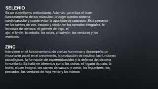 SELENIO
Es un potentísimo antioxidante. Además, garantiza el buen
funcionamiento de los músculos, protege nuestro sistema
cardiovascular y puede evitar la aparición de cataratas. Está presente
en las carnes de ave, vacuno y cerdo, en los cereales integrales, la
levadura de cerveza, el germen de trigo, el
ajo, el limón, la cebolla, las setas, el salmón, las verduras y los
mariscos.

ZINC
Interviene en el funcionamiento de ciertas hormonas y desempeña un
importante papel en el crecimiento, la producción de insulina, las funciones
psicológicas, la formación de espermatozoides y la defensa del sistema
inmunitario. Se halla en alimentos como las ostras, el hígado de pato, la
leche, el pan integral, las carnes de vacuno y cerdo, las legumbres, los
pescados, las verduras de hoja verde y las nueces

 