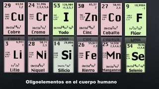 Oligoelementos en el cuerpo humano

 