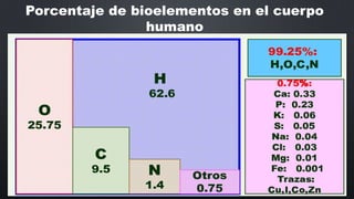 Porcentaje de bioelementos en el cuerpo
humano

 