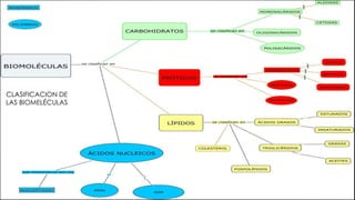 CLASIFICACION DE
LAS BIOMELÉCULAS

 