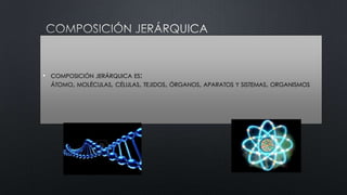 •

COMPOSICIÓN JERÁRQUICA ES:

ÁTOMO, MOLÉCULAS, CÉLULAS, TEJIDOS, ÓRGANOS, APARATOS Y SISTEMAS, ORGANISMOS

 