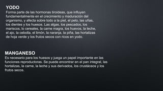 YODO
Forma parte de las hormonas tiroideas, que influyen
fundamentalmente en el crecimiento y maduración del
organismo, y afecta sobre todo a la piel, el pelo, las uñas,
los dientes y los huesos. Las algas, los pescados, los
mariscos, lo cereales, la carne magra, los huevos, la leche,
el ajo, la cebolla, el limón, la naranja, la piña, las hortalizas
de hoja verde y los frutos secos con ricos en yodo.

MANGANESO
Es necesario para los huesos y juega un papel importante en las
funciones reproductoras. Se puede encontrar en el pan integral, las
hortalizas, la carne, la leche y sus derivados, los crustáceos y los
frutos secos.

 