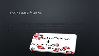 • LAS BIOMOLECULAS SON LAS MOLECULAS CONSTITUYENTES DE LOS SERES VIVOVS. LOS SEIS
ELEMENTOS QUIMICOS O BIOELEMENTOS MÁS ABUNDANTES EN LOS SERES VIVOS SON:
• CARBONO (C), HIDROGENO (H), OXIGENO (O),NITROGENO (N), FOSFORO (P) Y AZUFRE
(S)REPRESENTANDOALRREDEDOR DEL 99% DE LA MASA DE LA MAYORÍA DE LAS CÉLULAS,
CON ELLOS SE CREAN TODO TIPO DE SUSTANCIAS O BIOMOLÉCULAS.
ESTOS SEIS ELEMENTOS SON PRINCIPALES COMPONENTES DE LAS BIOMOLÉCULAS.

 