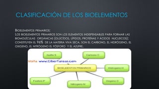 CLASIFICACIÓN DE LOS BIOELEMENTOS
BIOELEMENTOS PRIMARIOS:
LOS BIOELEMENTOS PRIMARIOS SON LOS ELEMENTOS INDISPENSABLES PARA FORMAR LAS
BIOMOLÉCULAS ORGÁNICAS (GLÚCÍDOS, LÍPIDOS, PROTEÍNAS Y ÁCIDOS NUCLEICOS);
CONSTITUYEN EL 96% DE LA MATERIA VIVA SECA. SON EL CARBONO, EL HIDRÓGENO, EL
OXIGENO, EL NITRÓGENO EL FÓSFORO Y EL AZUFRE.

 