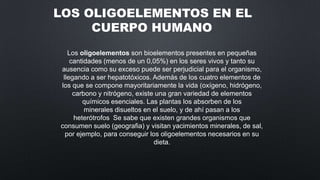 LOS OLIGOELEMENTOS EN EL
CUERPO HUMANO
Los oligoelementos son bioelementos presentes en pequeñas
cantidades (menos de un 0,05%) en los seres vivos y tanto su
ausencia como su exceso puede ser perjudicial para el organismo,
llegando a ser hepatotóxicos. Además de los cuatro elementos de
los que se compone mayoritariamente la vida (oxígeno, hidrógeno,
carbono y nitrógeno, existe una gran variedad de elementos
químicos esenciales. Las plantas los absorben de los
minerales disueltos en el suelo, y de ahí pasan a los
heterótrofos Se sabe que existen grandes organismos que
consumen suelo (geografia) y visitan yacimientos minerales, de sal,
por ejemplo, para conseguir los oligoelementos necesarios en su
dieta.

 