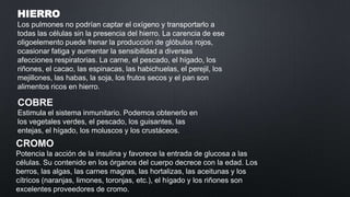 HIERRO
Los pulmones no podrían captar el oxígeno y transportarlo a
todas las células sin la presencia del hierro. La carencia de ese
oligoelemento puede frenar la producción de glóbulos rojos,
ocasionar fatiga y aumentar la sensibilidad a diversas
afecciones respiratorias. La carne, el pescado, el hígado, los
riñones, el cacao, las espinacas, las habichuelas, el perejil, los
mejillones, las habas, la soja, los frutos secos y el pan son
alimentos ricos en hierro.

COBRE
Estimula el sistema inmunitario. Podemos obtenerlo en
los vegetales verdes, el pescado, los guisantes, las
entejas, el hígado, los moluscos y los crustáceos.

CROMO
Potencia la acción de la insulina y favorece la entrada de glucosa a las
células. Su contenido en los órganos del cuerpo decrece con la edad. Los
berros, las algas, las carnes magras, las hortalizas, las aceitunas y los
cítricos (naranjas, limones, toronjas, etc.), el hígado y los riñones son
excelentes proveedores de cromo.

 