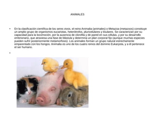 ANIMALES
● En la clasificación científica de los seres vivos, el reino Animalia (animales) o Metazoa (metazoos) constituye
un amplio grupo de organismos eucariotas, heterótrofos, pluricelulares y tisulares. Se caracterizan por su
capacidad para la locomoción, por la ausencia de clorofila y de pared en sus células, y por su desarrollo
embrionario, que atraviesa una fase de blástula y determina un plan corporal fijo (aunque muchas especies
pueden sufrir posteriormente metamorfosis). Los animales forman un grupo natural estrechamente
emparentado con los hongos. Animalia es uno de los cuatro reinos del dominio Eukaryota, y a él pertenece
el ser humano.
●
 